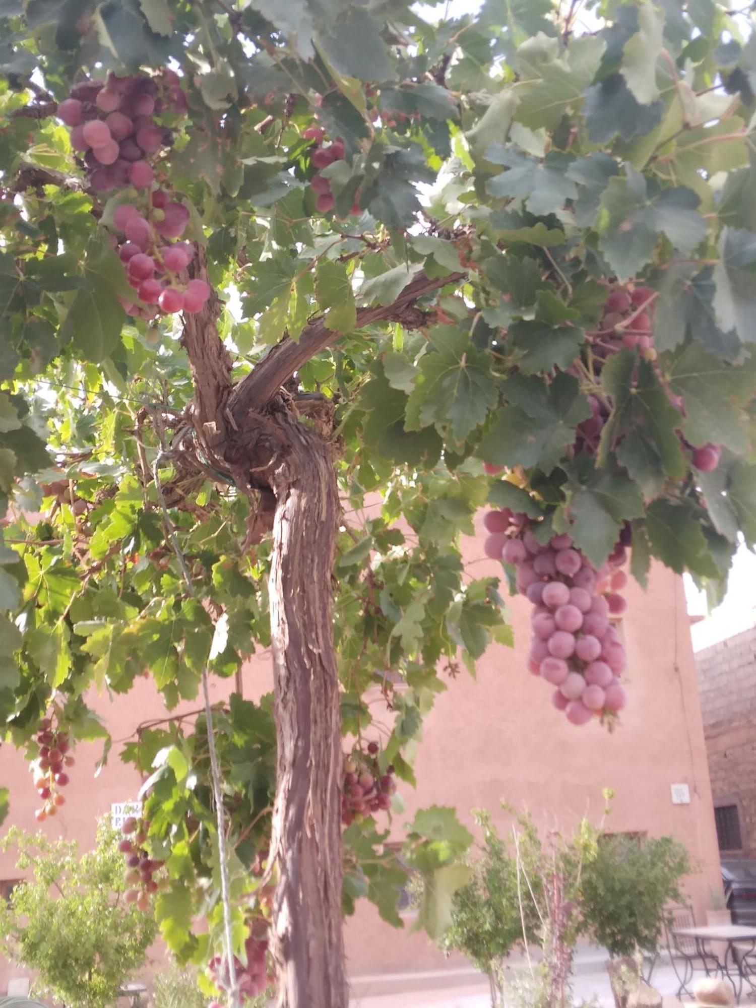 Dar Bilal Hotel Ait Benhaddou Luaran gambar