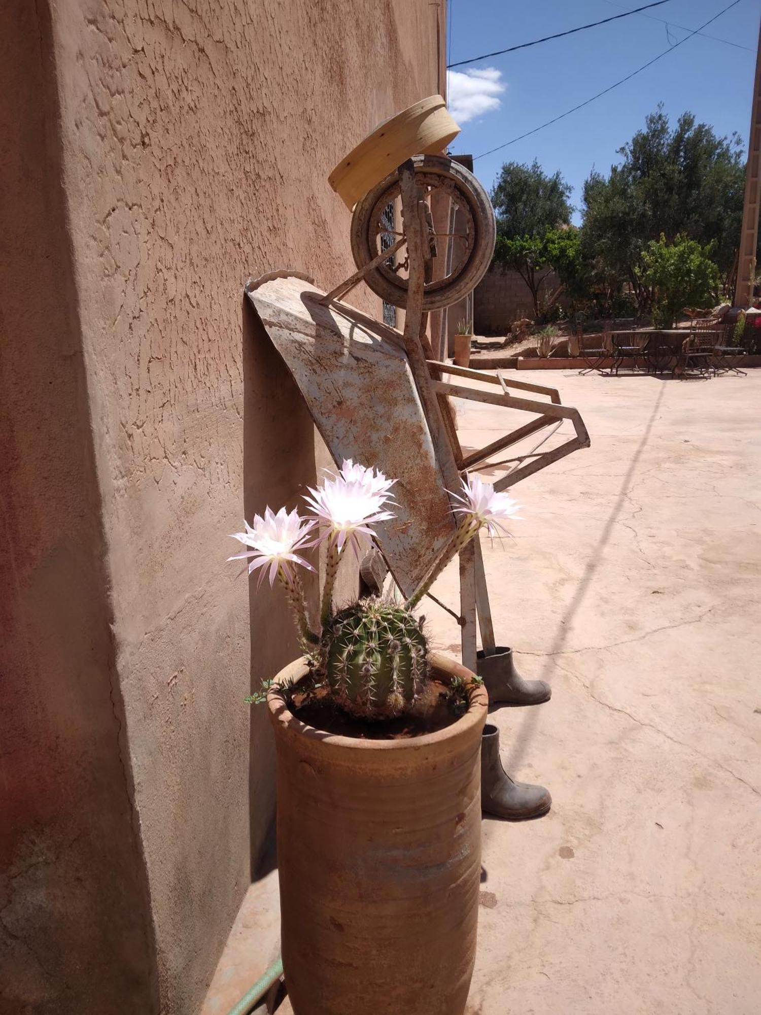 Dar Bilal Hotel Ait Benhaddou Luaran gambar
