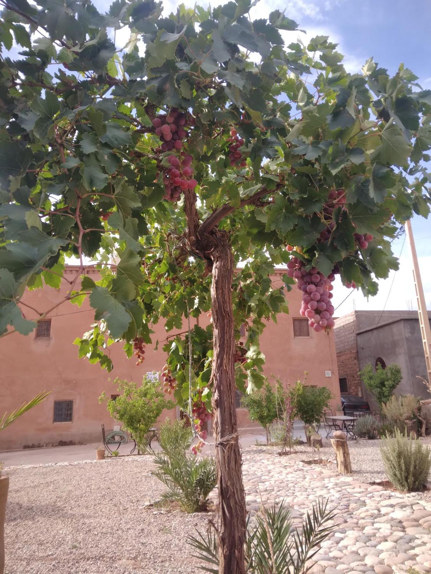 Dar Bilal Hotel Ait Benhaddou Luaran gambar